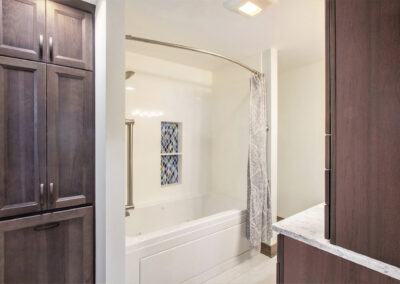 Pratt Lake Shower and Cabinets
